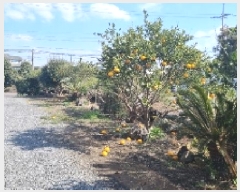  2025Ÿ��7479  ���ð��