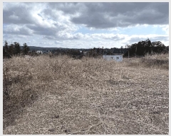  2025Ÿ��7515 ���� ���ֽ� ��õ�� ���긮 2418-3      ����(�Ӿ�)���