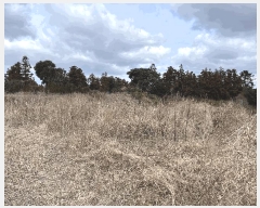  2025Ÿ��7515 ���� ���ֽ� ��õ�� ���긮 2418-3      ����(�Ӿ�)���