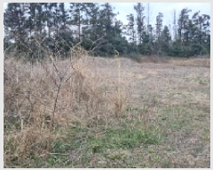  2025Ÿ��7515 ���� ���ֽ� ��õ�� ���긮 2418-3      ����(�Ӿ�)���