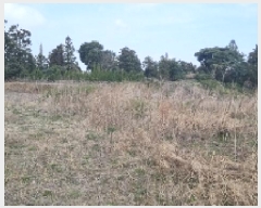  2025Ÿ��7515 ���� ���ֽ� ��õ�� ���긮 2418-3      ����(�Ӿ�)���