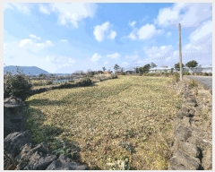  2025Ÿ��7586 ���� ���ֽ� �Ѱ�� ������ 2512      ����(��1)���