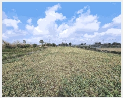  2025Ÿ��7586 ���� ���ֽ� �Ѱ�� ������ 2512      ����(��1)���