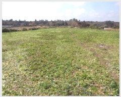  2025Ÿ��7586 ���� ���ֽ� �Ѱ�� ������ 2512      ����(��1)���