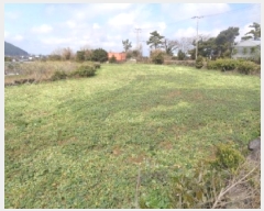  2025Ÿ��7586 ���� ���ֽ� �Ѱ�� ������ 2512      ����(��1)���