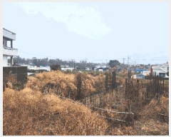  2025Ÿ��7622  ���������