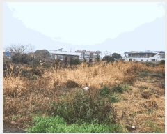  2025Ÿ��7622  ���������