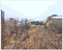  2025Ÿ��7622  ���������