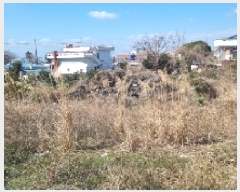  2025Ÿ��7622  ���������