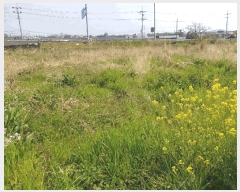  2025Ÿ��7784 ���� ���ֽ� �Ѹ��� ������ 2147      ����(��1)���