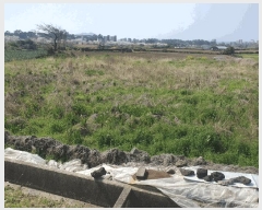  2025Ÿ��7784 ���� ���ֽ� �Ѹ��� ������ 2147      ����(��1)���