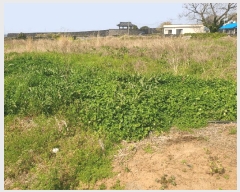  2025Ÿ��7784 ���� ���ֽ� �Ѹ��� ������ 2147      ����(��1)���