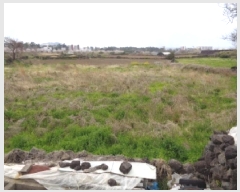  2025Ÿ��7784 ���� ���ֽ� �Ѹ��� ������ 2147      ����(��1)���