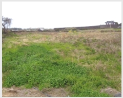  2025Ÿ��7784 ���� ���ֽ� �Ѹ��� ������ 2147      ����(��1)���