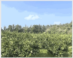  2025Ÿ��7848 ���� �������� ������ ��õ�� 798      ����(������)���