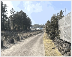  2025Ÿ��7848 ���� �������� ������ ��õ�� 798      ����(������)���