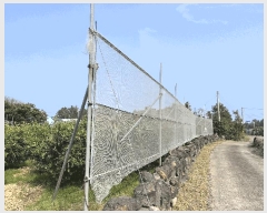  2025Ÿ��7848 ���� �������� ������ ��õ�� 798      ����(������)���