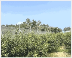  2025Ÿ��7848 ���� �������� ������ ��õ�� 798      ����(������)���