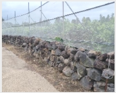  2025Ÿ��7848 ���� �������� ������ ��õ�� 798      ����(������)���