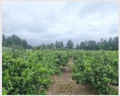  2025Ÿ��7848 ���� �������� ������ ��õ�� 798      ����(������)���