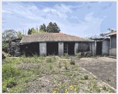  2025Ÿ��7866 ���� �������� ǥ���� ��ȭ�� 1960-1      ���ð��