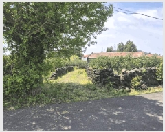  2025Ÿ��7866 ���� �������� ǥ���� ��ȭ�� 1960-1      ���ð��