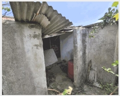  2025Ÿ��7866 ���� �������� ǥ���� ��ȭ�� 1960-1      ���ð��