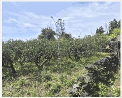  2025Ÿ��7866 ���� �������� ǥ���� ��ȭ�� 1960-1      ���ð��