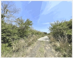  2025Ÿ��7911  �Ӿ߰��