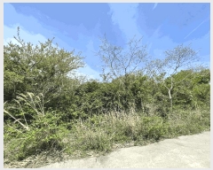  2025Ÿ��7911  �Ӿ߰��