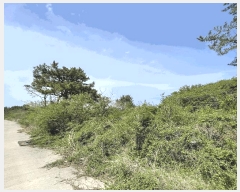  2025Ÿ��7911  �Ӿ߰��