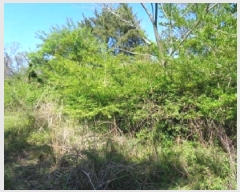  2025Ÿ��7911  �Ӿ߰��