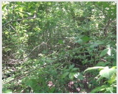  2025Ÿ��7911  �Ӿ߰��