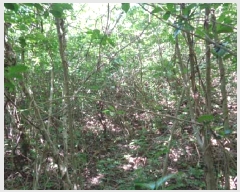  2025Ÿ��7911  �Ӿ߰��