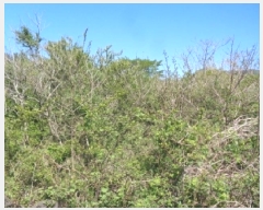  2025Ÿ��7911  �Ӿ߰��