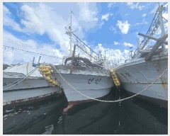  2025Ÿ8390  ֽ         ڰ