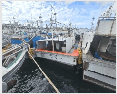  2025Ÿ8390  ֽ         ڰ