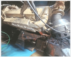  2025Ÿ8390  ֽ         ڰ