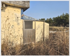  2025Ÿ��46  �Ӿ߰��