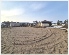  2025Ÿ��46  �Ӿ߰��