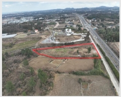  2025Ÿ��138 ���� ���ֽ� ��� 227       ����(������)���