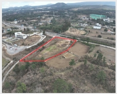  2025Ÿ��138 ���� ���ֽ� ��� 227       ����(������)���