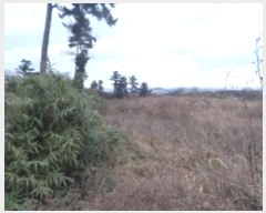  2025Ÿ��138 ���� ���ֽ� ��� 227       ����(������)���