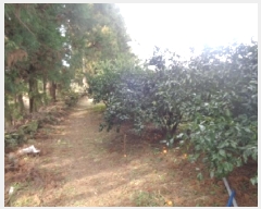  2025Ÿ��404 ���� �������� ������ 195-2       ����(������)���