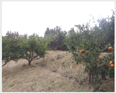  2025Ÿ��404 ���� �������� ������ 195-2       ����(������)���