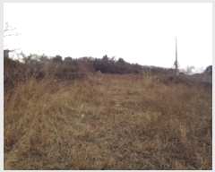  2025Ÿ��763 ���� ���ֽ� �Ѹ��� ����� 1543      ����(��1)���