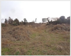  2025Ÿ��763 ���� ���ֽ� �Ѹ��� ����� 1543      ����(��1)���