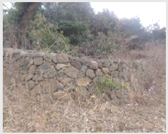  2025Ÿ��763 ���� ���ֽ� �Ѹ��� ����� 1543      ����(��1)���