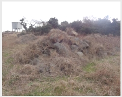  2025Ÿ��763 ���� ���ֽ� �Ѹ��� ����� 1543      ����(��1)���