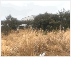  2025Ÿ907   ȴ ȭ 2026-11      (Ӿ)